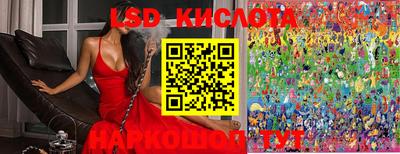 ПСИЛОЦИБИНОВЫЕ ГРИБЫ Можайск