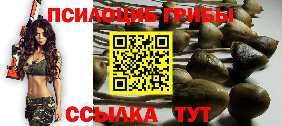 Галлюциногенные грибы мицелий  Псилоцибиновые грибы Magic Shrooms  Тула  Вход с VPN 